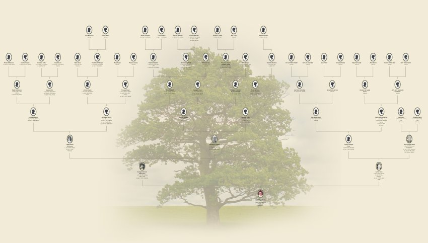 Árvore genealógica feita no MyHeritage Family Tree Builder
