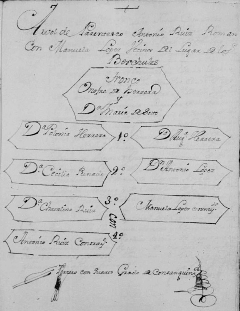 Exemplo de árvore genealógica que pode ser encontrada nas dispensas matrimoniais de Granada