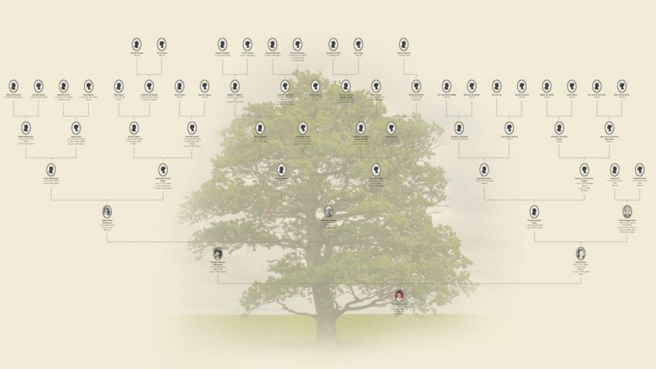 Кали древо. Семейное Древо Family Tree Builder. Генеалогическое дерево в стиле Минимализм. MYHERITAGE семейное дерево. Семейное Древо Gucci.